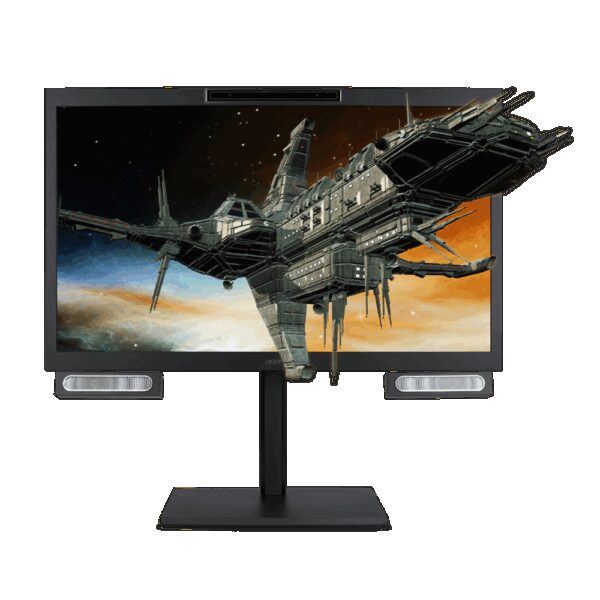 Acer DS2 Series Pro