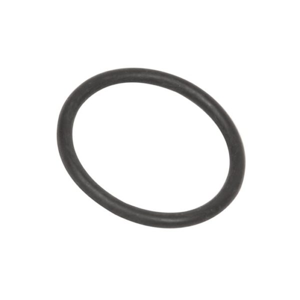 AEG Ablaufschlauch-O-Ring für Waschmaschinen 5490120200