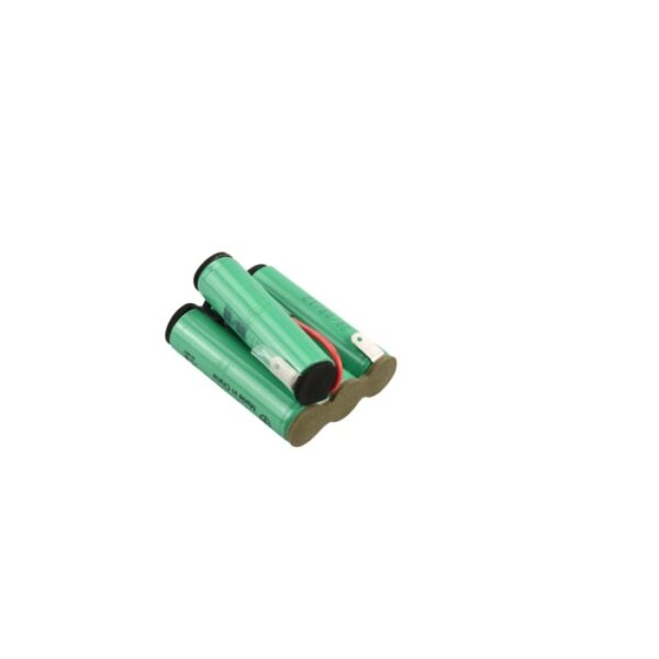 AEG Batterie