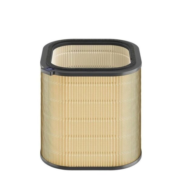 AEG EF11001 Pollen Filter 9009237059