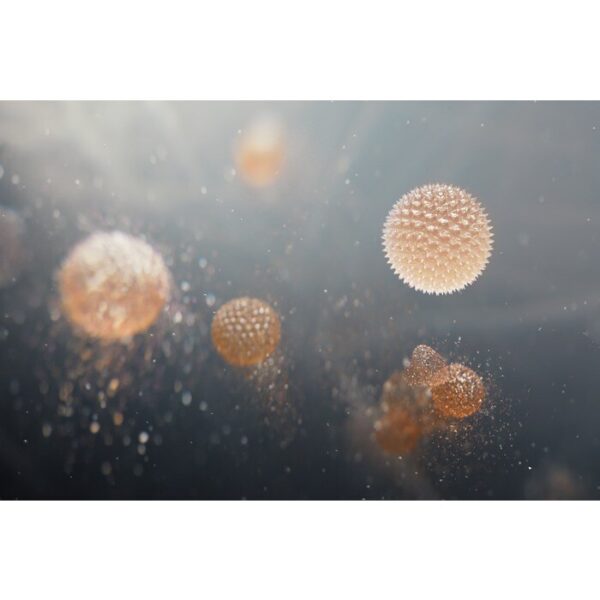 AEG EFFBTH4 Pollen Care Filter 9009238305