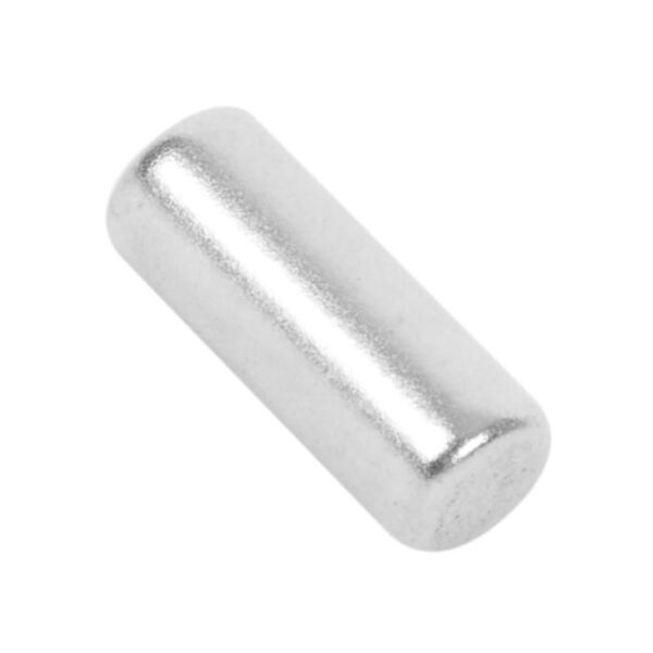AEG Magnet für Gefriergeräte 2240076022
