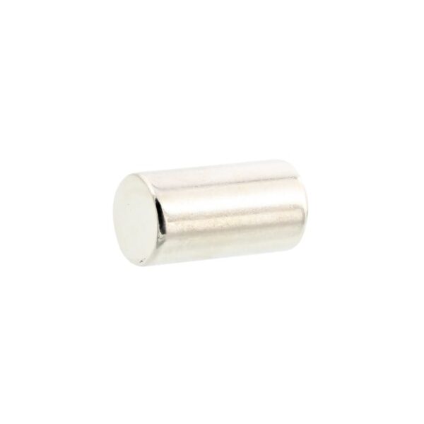 AEG Magnet