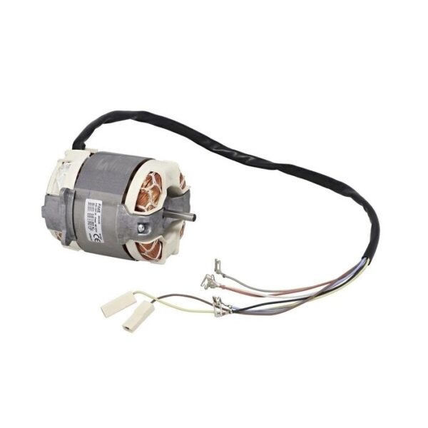 AEG Motor