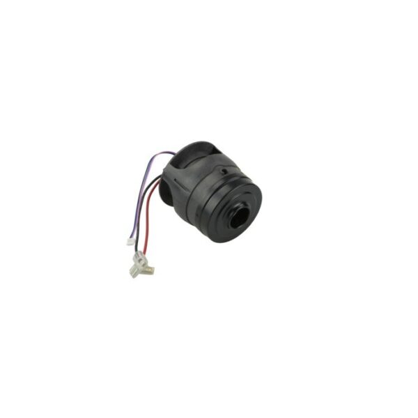 AEG Motor