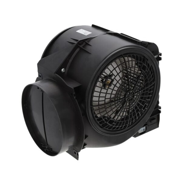 AEG Motor