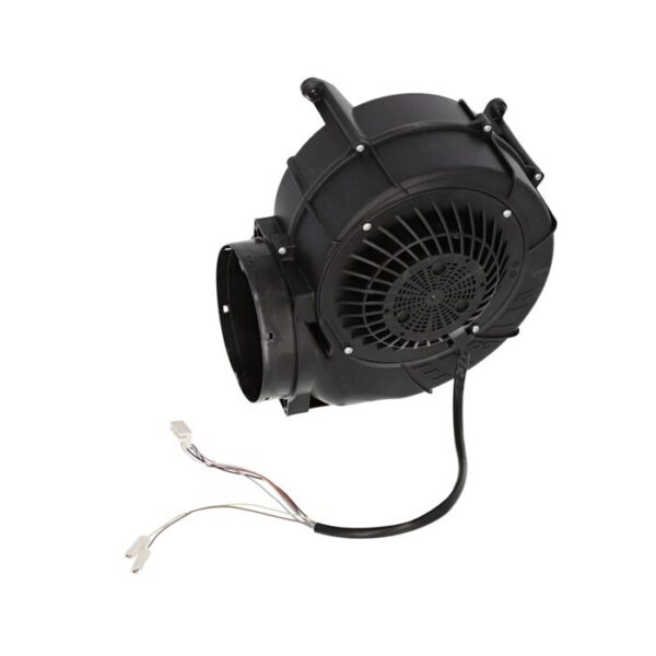 AEG Motor