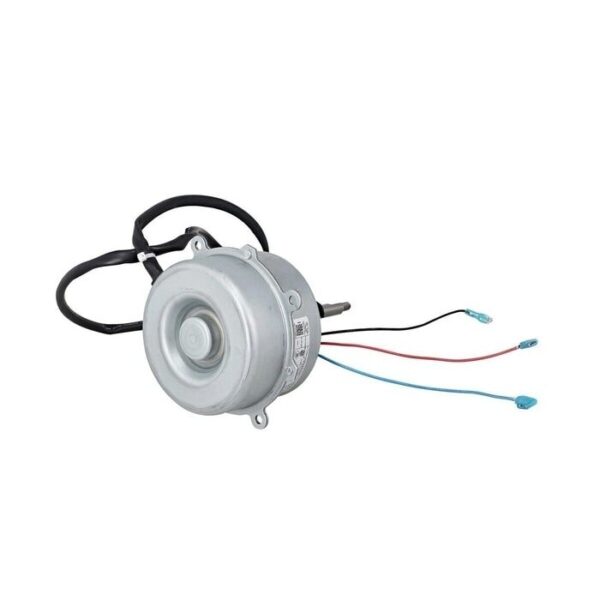 AEG Motor