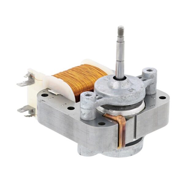 AEG Motor