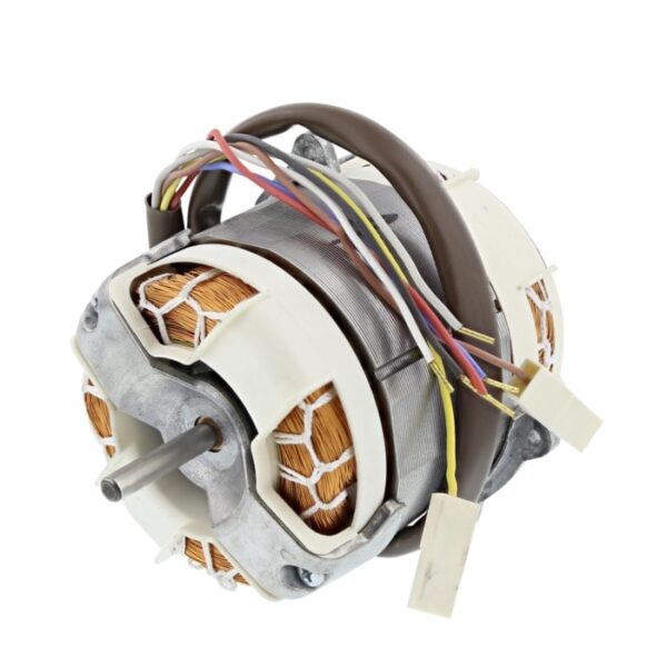 AEG Motor