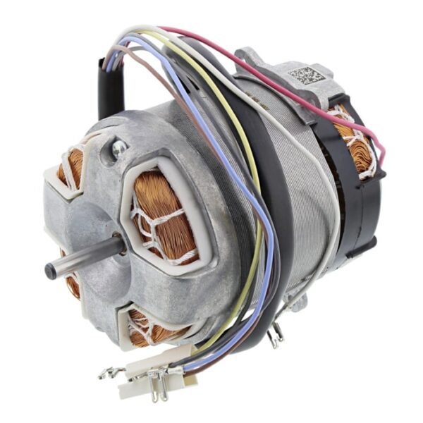AEG Motor