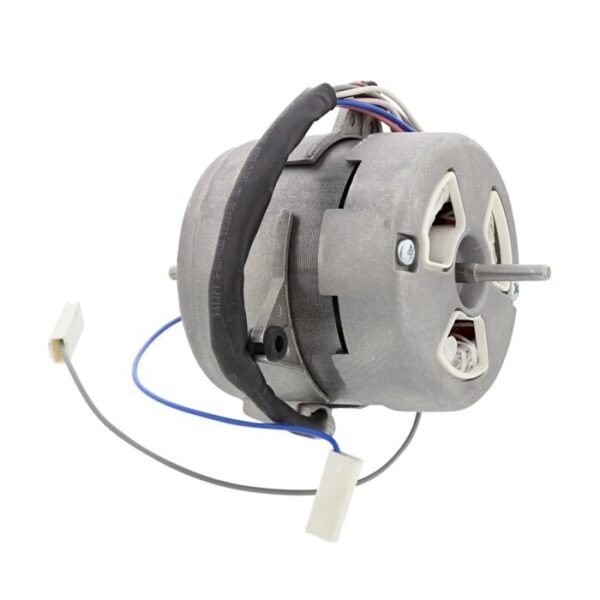 AEG Motor