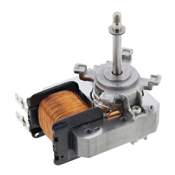AEG Motor