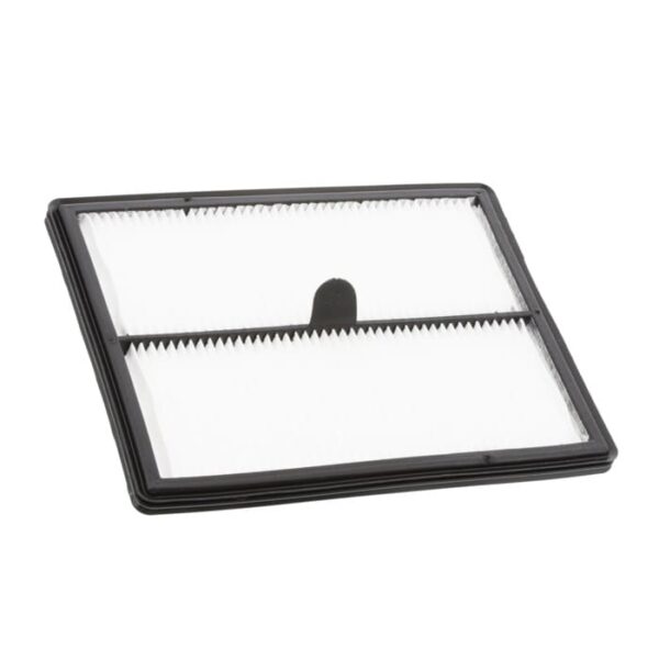 AEG Rx9 / Purei9 Filter für Staubbehälter 4060001429