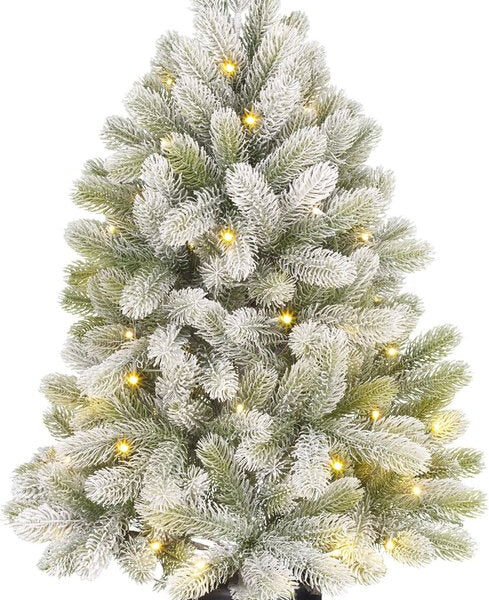 Black Box Trees Nigata Künstlicher Weihnachtsbaum im Topf mit LED-Beleuchtung - H90 x Ø55 cm - Grün gefrostet Weihnachten