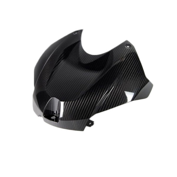BMW Airbox Abdeckung aus Carbon S1000R (K47) S1000RR (K46)