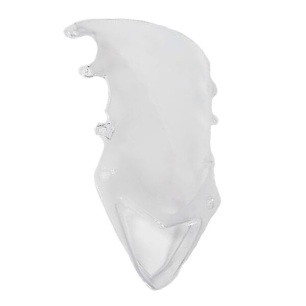 BMW Windschild S1000RR (K46 2012-2014) Windschilder