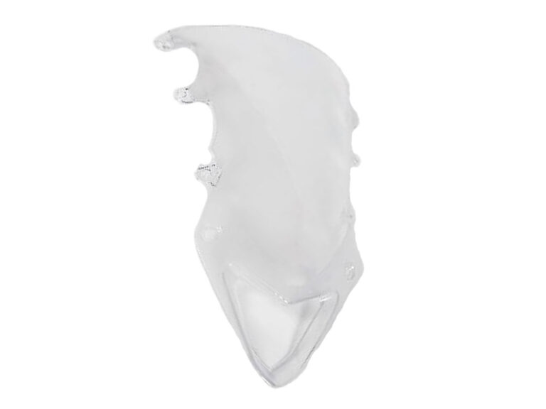 BMW Windschild S1000RR (K46 2012-2014) Windschilder