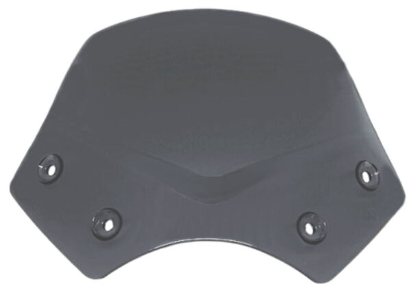 BMW Windschild Sport (getönt) R1200R Windschilder