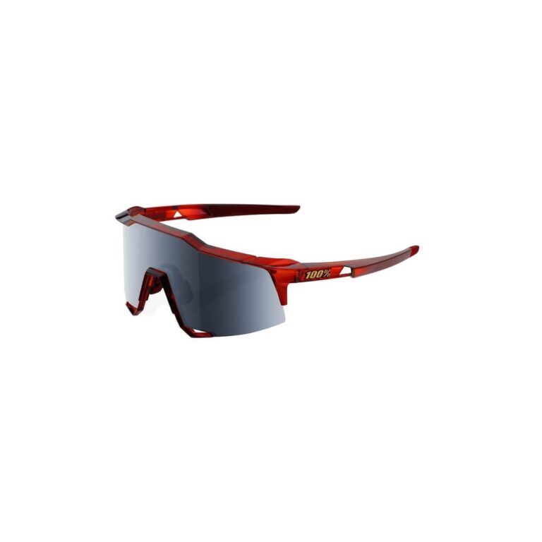 Brille 100% Speedcraft Cherry Palace LL Spiegel Objektiv Spiegel schwarz Fahrradbrillen