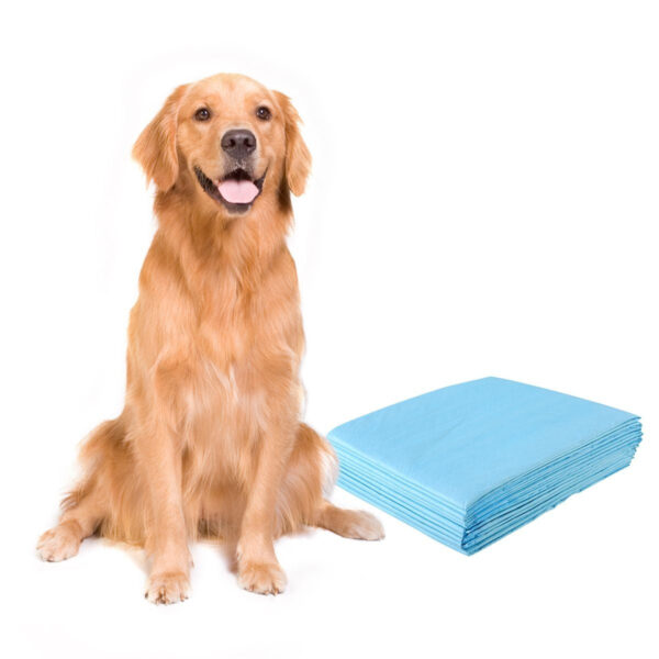 Coast Puppy Einweg-Trainingseinlagen - Toilettentraining - 100 Stück Haus & Garten