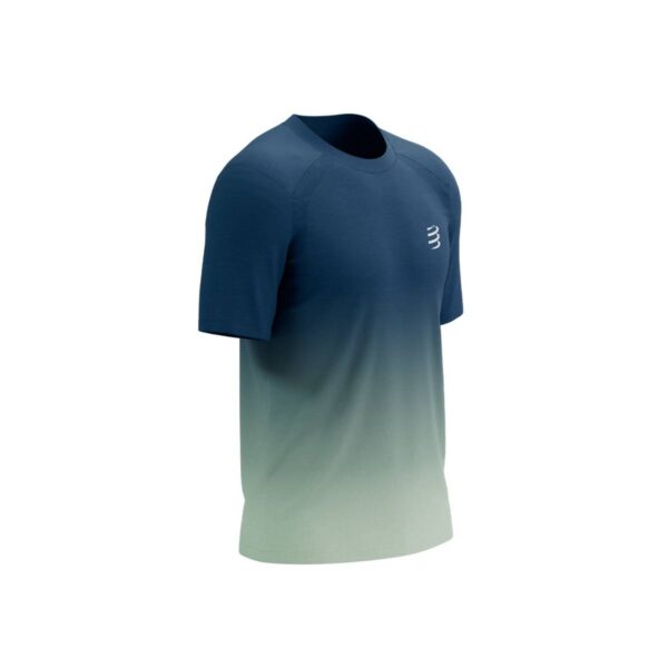Compressport Performance SS T-Shirt Blau Grau