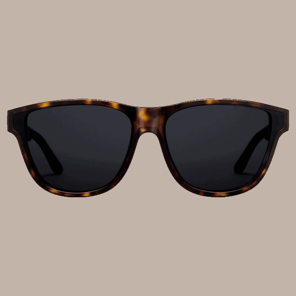 Daniel Wellington DW Ambler Bio-Acetate One Size Dark Havana