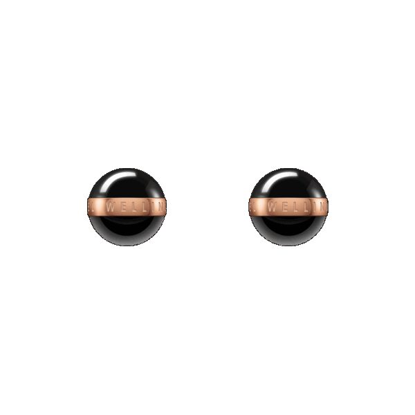 Daniel Wellington DW Aspiration Earrings One Size Rose Gold