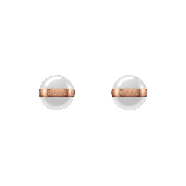 Daniel Wellington DW Aspiration Earrings One Size Rose Gold