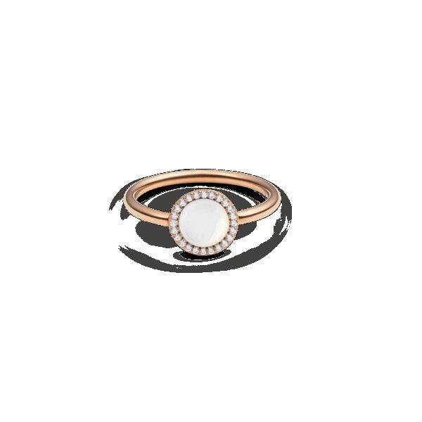 Daniel Wellington DW Audrey Semi-precious 48 Rose Gold