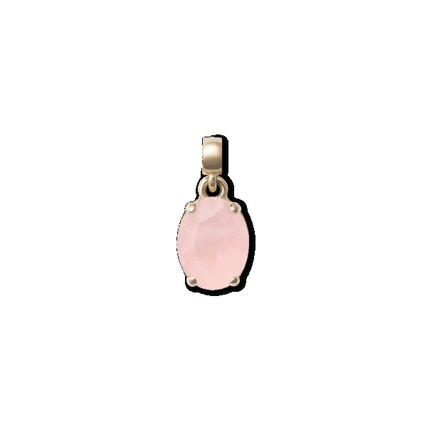 Daniel Wellington DW Charm Elemental One Size Gold