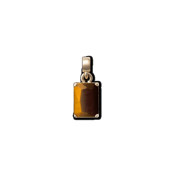 Daniel Wellington DW Charm Elemental One Size Gold