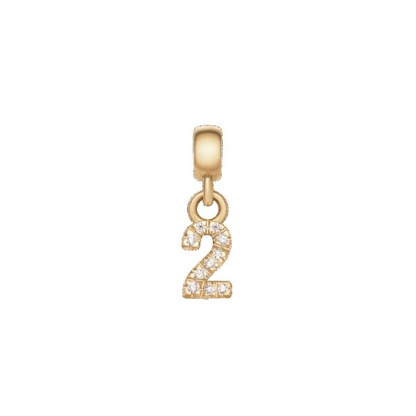 Daniel Wellington DW Charm Number 2 Gold
