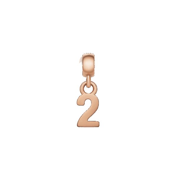 Daniel Wellington DW Charm Number 2 Rose Gold