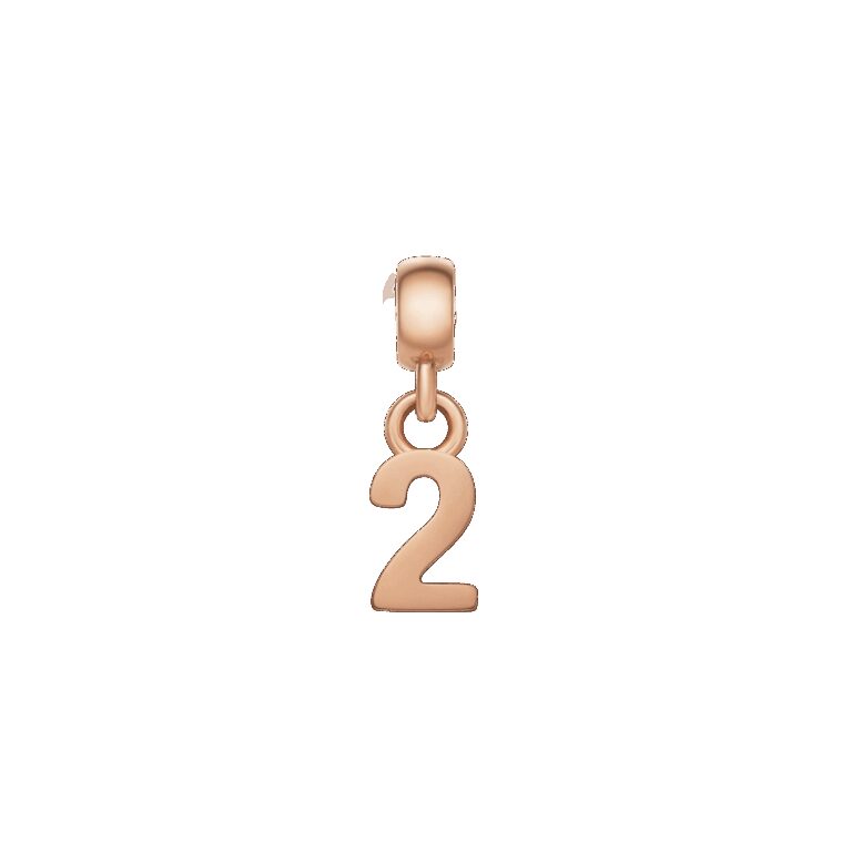 Daniel Wellington DW Charm Number 2 Rose Gold