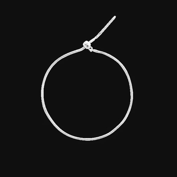 Daniel Wellington DW Charm snake < 185mm Silver