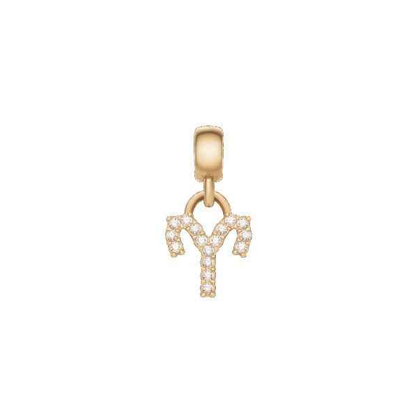 Daniel Wellington DW Charm Zodiac Gold