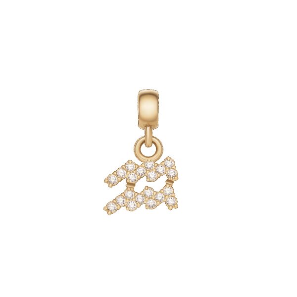 Daniel Wellington DW Charm Zodiac Gold