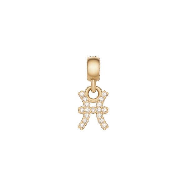 Daniel Wellington DW Charm Zodiac Gold