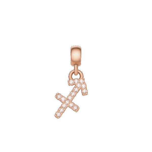Daniel Wellington DW Charm Zodiac Rose Gold