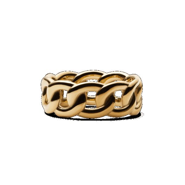 Daniel Wellington DW Chunky Chain 70 Gold