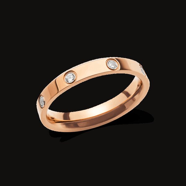 Daniel Wellington DW Classic 48 Rose Gold