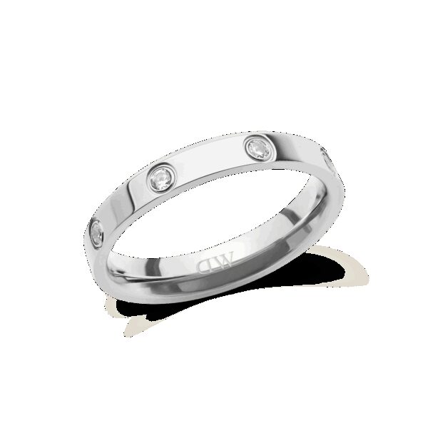 Daniel Wellington DW Classic 48 Silver