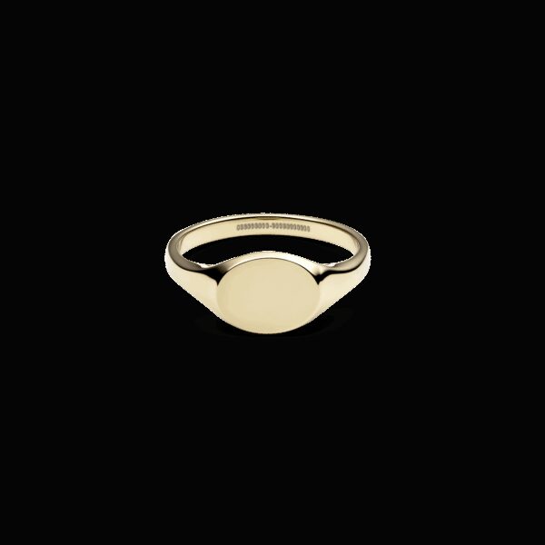 Daniel Wellington DW Classic Signet 48 Gold