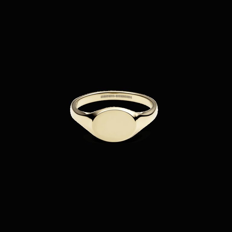 Daniel Wellington DW Classic Signet 48 Gold
