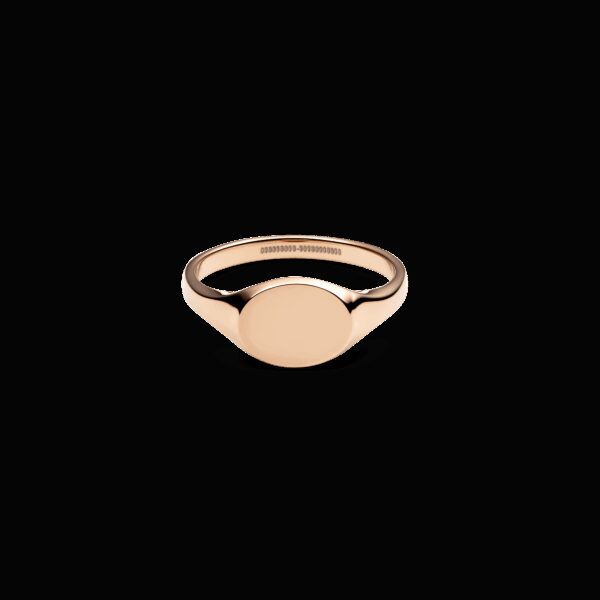 Daniel Wellington DW Classic Signet 48 Rose Gold