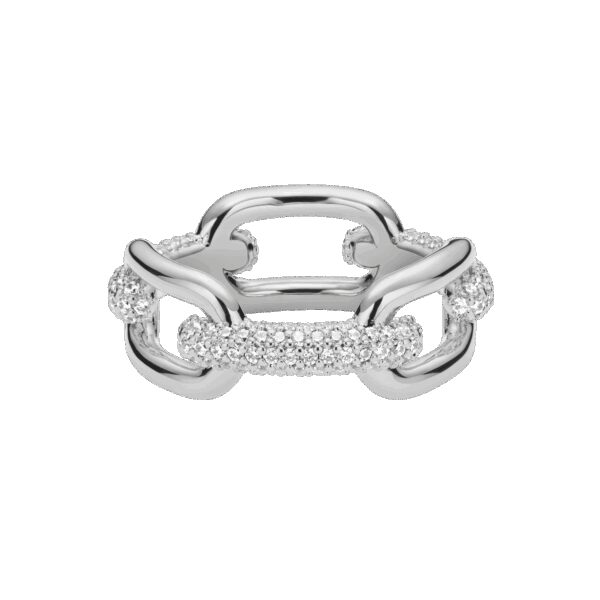 Daniel Wellington DW Crystal Link 70 Silver