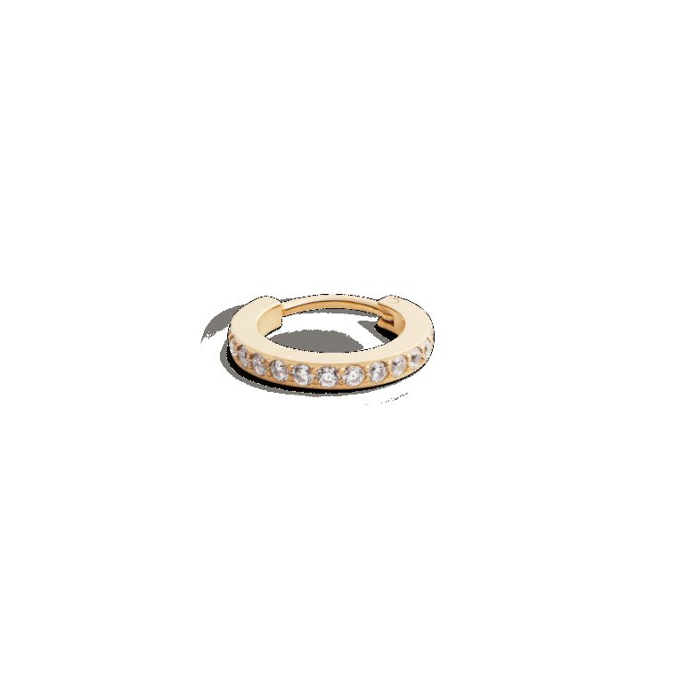 Daniel Wellington DW Earrings Micro 13
