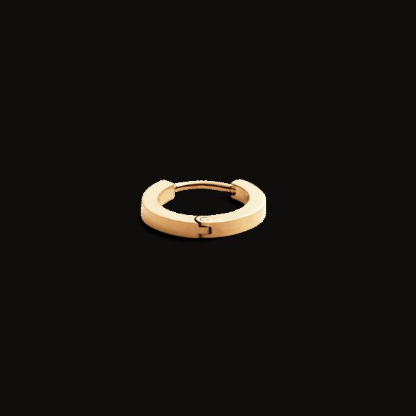Daniel Wellington DW Earrings Micro 13mm Gold