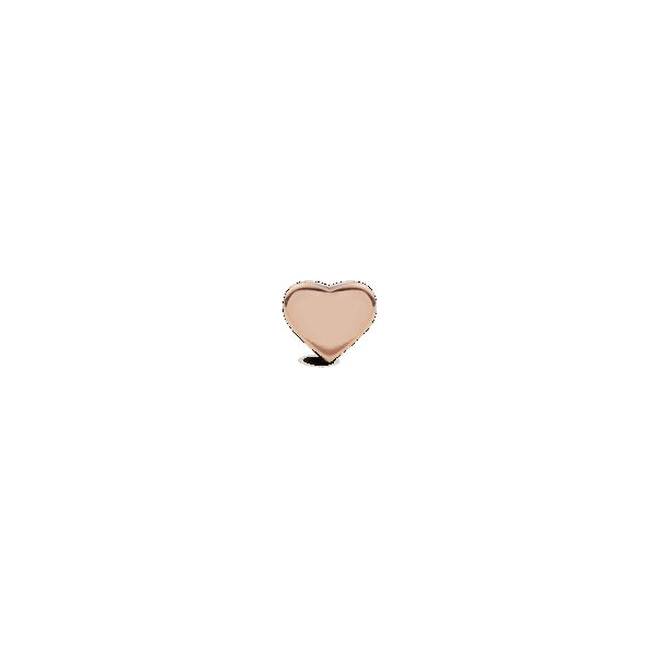 Daniel Wellington DW Earrings Micro 3